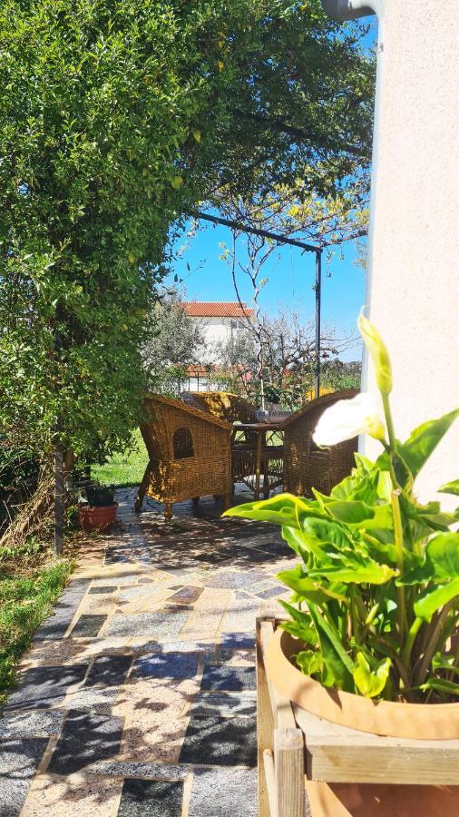 Apartma Kos Rosini